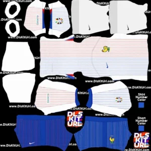 France-DLS-24-25-euro-away-kit