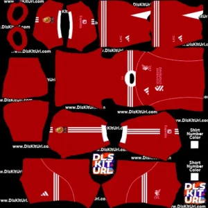 liverpool DLS home