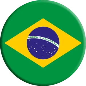 Brazil dls logo 2